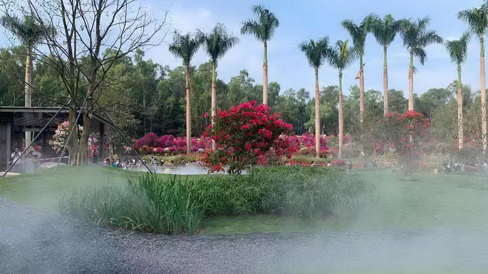 要看花海，還是人山人海？