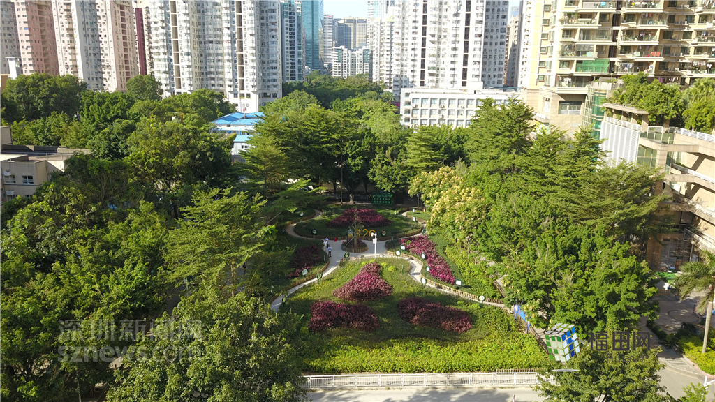  鵬城眼|我的實事我做主！5年辦理“民生微實事”6774件}