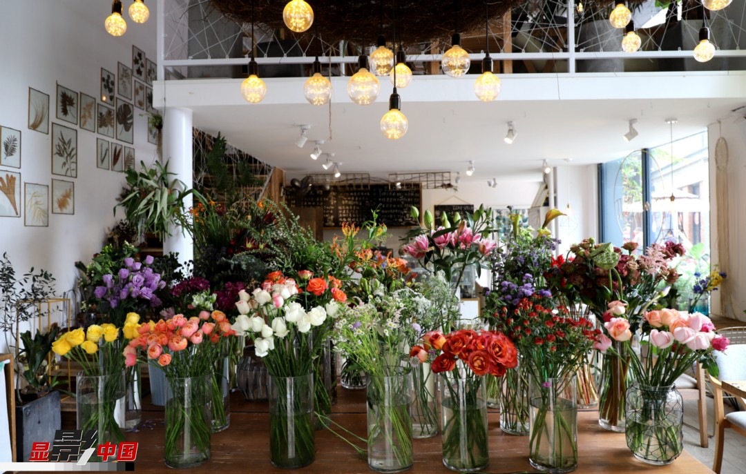 從決定從事鮮花這個(gè)行業(yè)以來，王黎媛花了很多的時(shí)間和精力去學(xué)習(xí)花藝，不斷提高自己的專業(yè)水平。而在小店的選址、裝修和布置方面，王黎媛同樣花費(fèi)了不少心思，“希望我的小店和鮮花一樣，是有溫度的、鮮活的?！绷硗?，小小的花店也藏著大大的夢(mèng)想，“我們?cè)颇硝r花很多，但真正做成品牌的卻很少，這是非?？上У?。我希望把我的店做成品牌，不光能扎根昆明，還能落地到云南的其他城市，甚至省外的城市?！眻D為王黎媛的花店一角。新華網(wǎng) 周亞平/攝 念新洪/文
